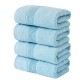 Two-pack of household 100% cotton adult face towels, soft and absorbent [same as Points Mall]